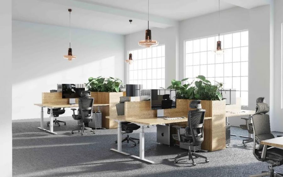 1623484060926546XNzm.jpg b.jpg